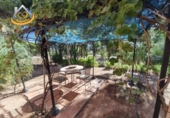 Finca rústica en venda a la España, Isla Cristina, ref.: TR338265 foto