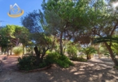 Finca rústica en venda a la España, Isla Cristina, ref.: TR338265 foto