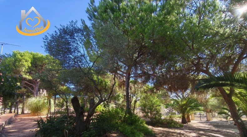 Huelva - Isla Cristina - 6467m2