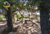 Finca rústica en venda a la España, Isla Cristina, ref.: TR338265 foto