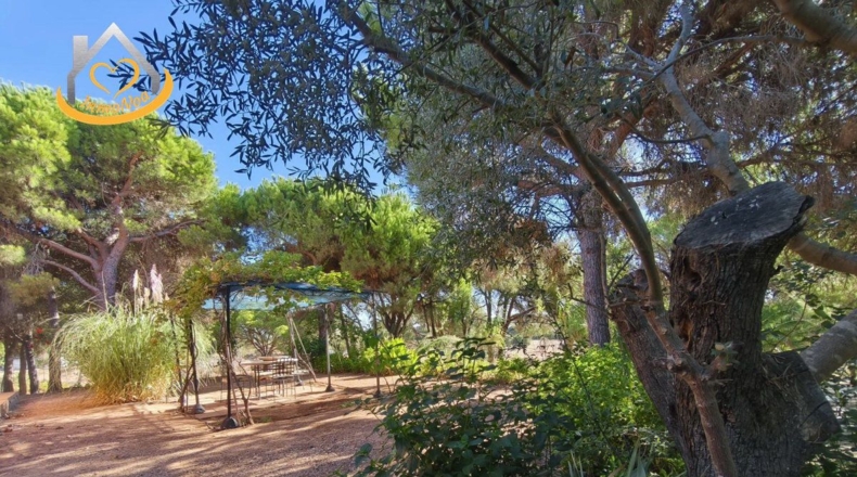 Huelva - Isla Cristina - 6467m2