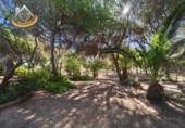 Finca rústica en venda a la España, Isla Cristina, ref.: TR338265 foto