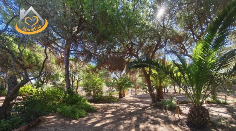 Huelva - Isla Cristina - 6467m2