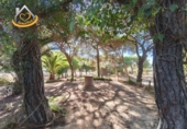 Finca rústica en venda a la España, Isla Cristina, ref.: TR338265 foto
