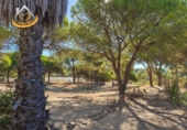 Finca rústica en venda a la España, Isla Cristina, ref.: TR338265 foto