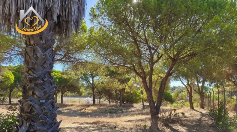 Huelva - Isla Cristina - 6467m2