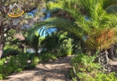 Finca rústica en venda a la España, Isla Cristina, ref.: TR338265 foto