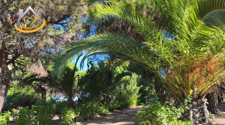 Huelva - Isla Cristina - 6467m2
