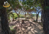 Finca rústica en venda a la España, Isla Cristina, ref.: TR338265 foto