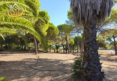 Finca rústica en venda a la España, Isla Cristina, ref.: TR338265 foto