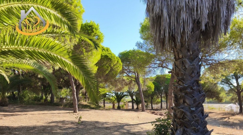 Huelva - Isla Cristina - 6467m2