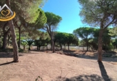 Finca rústica en venda a la España, Isla Cristina, ref.: TR338265 foto