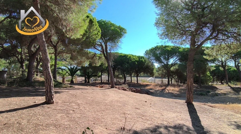 Huelva - Isla Cristina - 6467m2