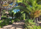 Finca rústica en venda a la España, Isla Cristina, ref.: TR338265 foto