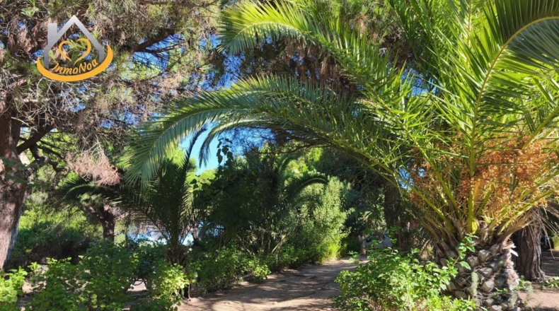 Huelva - Isla Cristina - 6467m2