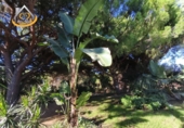 Finca rústica en venda a la España, Isla Cristina, ref.: TR338265 foto