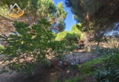Finca rústica en venda a la España, Isla Cristina, ref.: TR338265 foto