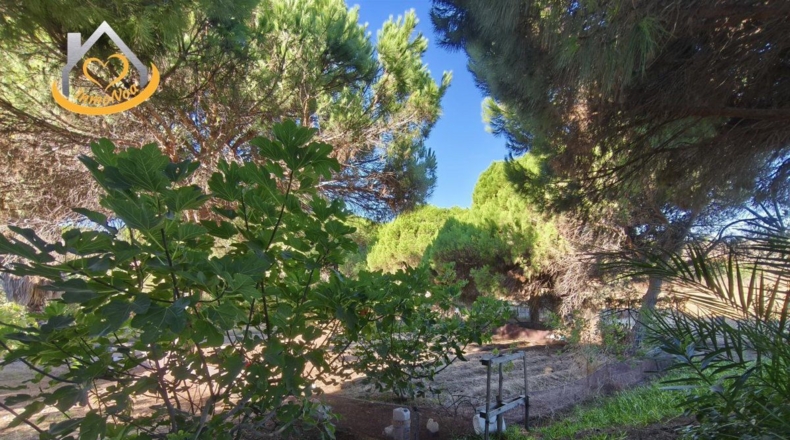 Huelva - Isla Cristina - 6467m2