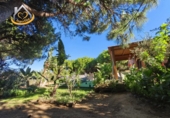 Finca rústica en venda a la España, Isla Cristina, ref.: TR338265 foto