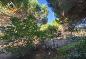 Finca rústica en venda a la España, Isla Cristina, ref.: TR338265 foto