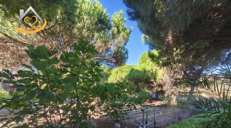 Huelva - Isla Cristina - 6467m2