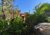 Finca rústica en venda a la España, Isla Cristina, ref.: TR338265 foto