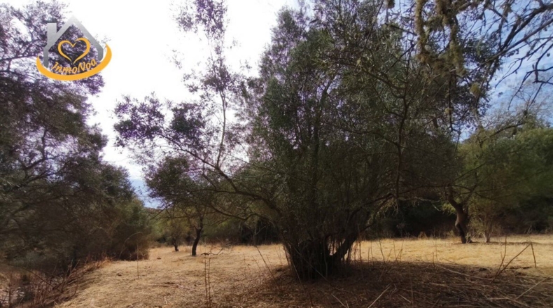 Huelva - Sanlúcar de Guadiana - 11885m2