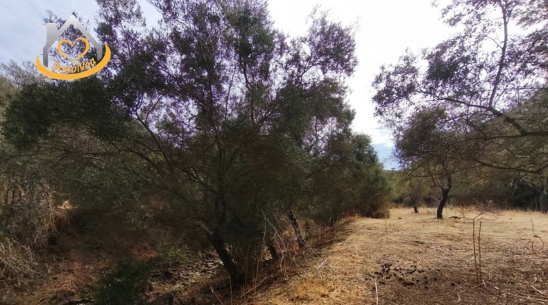 Huelva - Sanlúcar de Guadiana - 11885m2