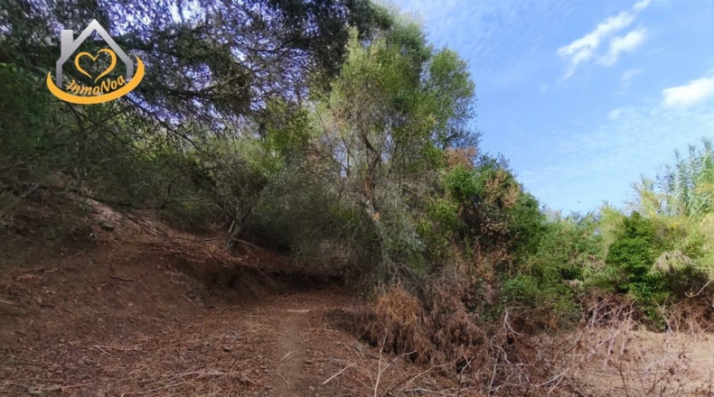 Huelva - Sanlúcar de Guadiana - 11885m2