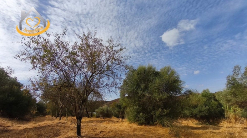 Huelva - Sanlúcar de Guadiana - 11885m2