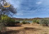 Terreny no urbanitzable en venda a Sanlúcar de Guadiana ref.: TR354785 foto
