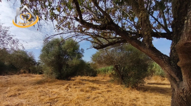 Huelva - Sanlúcar de Guadiana - 11885m2