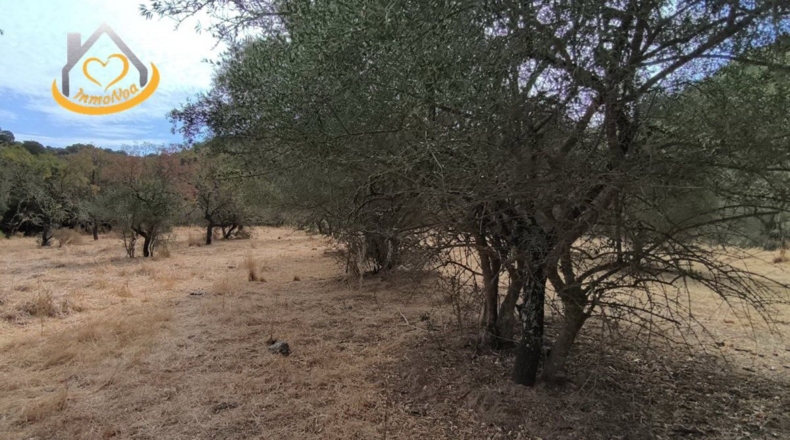 Huelva - Sanlúcar de Guadiana - 11885m2