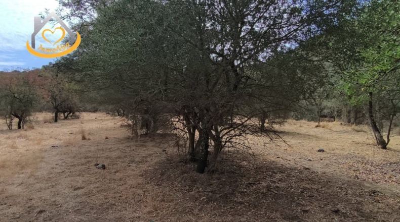 Huelva - Sanlúcar de Guadiana - 11885m2