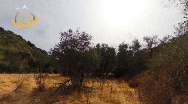 Huelva - Sanlúcar de Guadiana - 11885m2