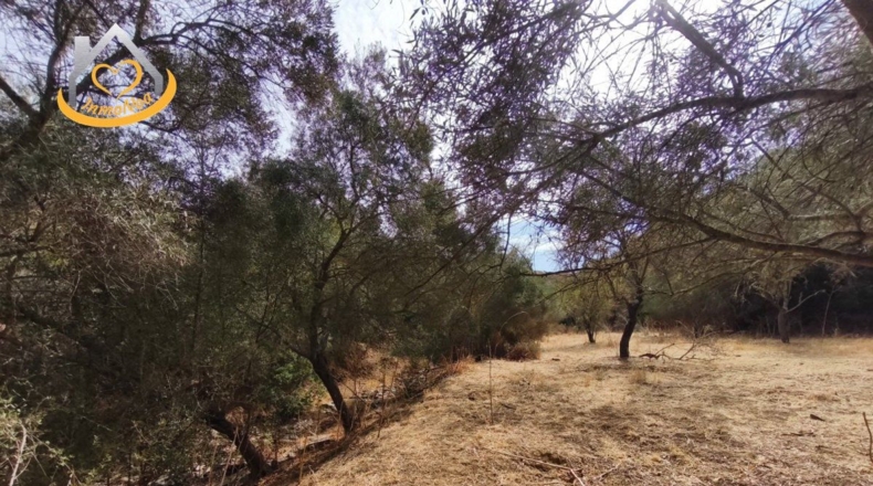 Huelva - Sanlúcar de Guadiana - 11885m2