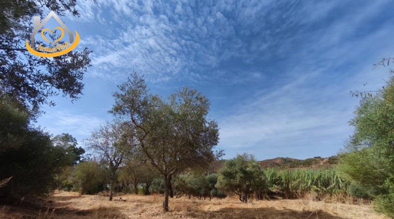 Huelva - Sanlúcar de Guadiana - 11885m2