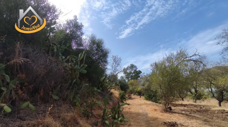 Huelva - Sanlúcar de Guadiana - 11885m2