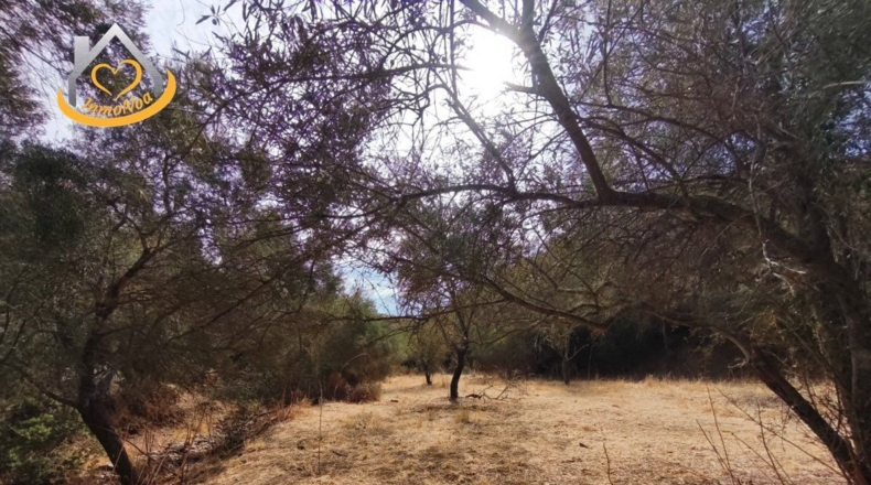 Huelva - Sanlúcar de Guadiana - 11885m2