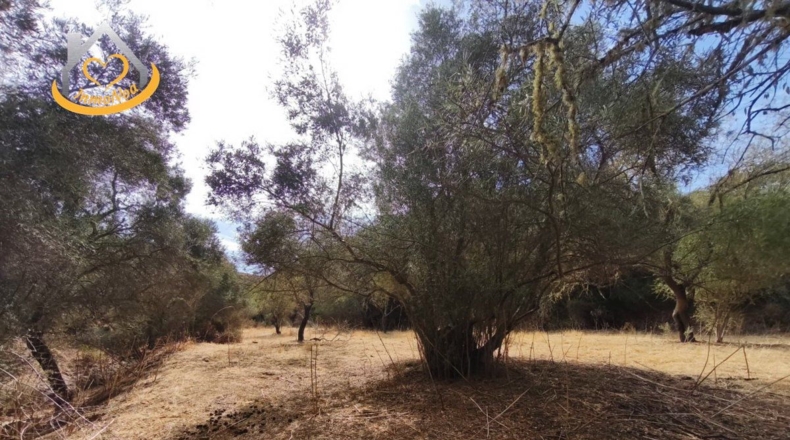 Huelva - Sanlúcar de Guadiana - 11885m2