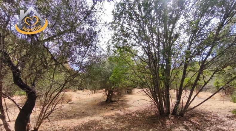 Huelva - Sanlúcar de Guadiana - 11885m2