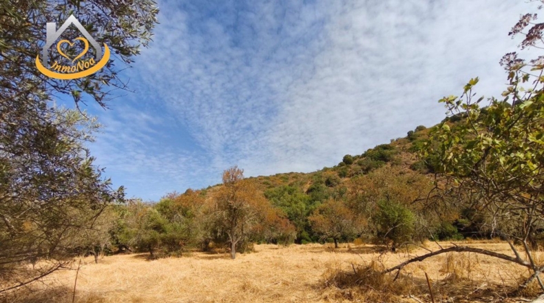 Huelva - Sanlúcar de Guadiana - 11885m2