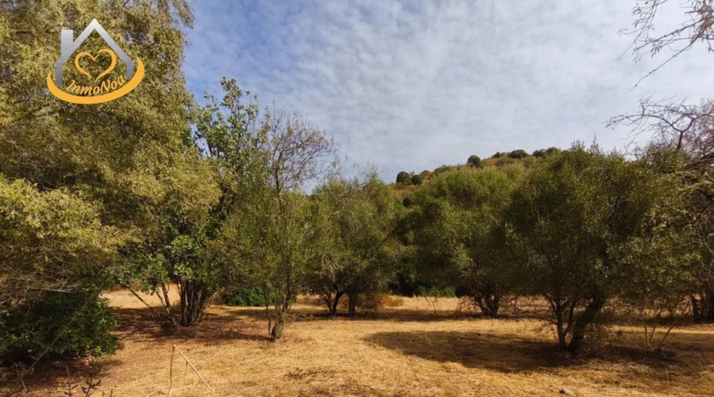 Huelva - Sanlúcar de Guadiana - 11885m2