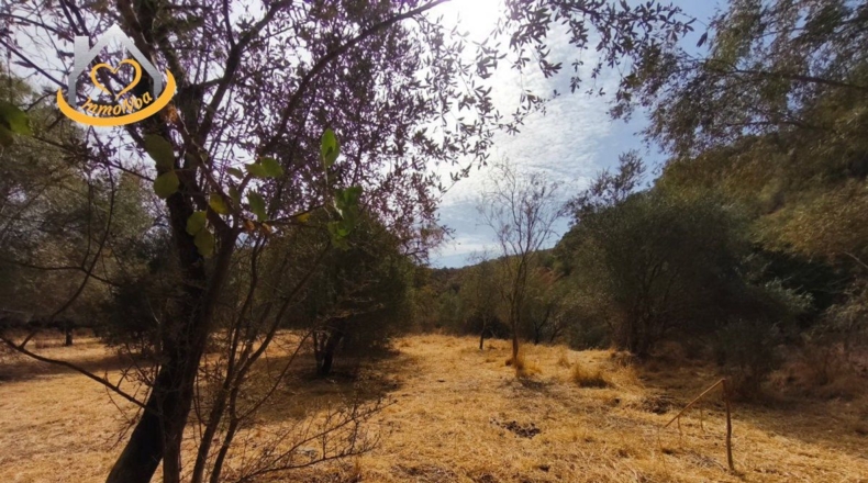 Huelva - Sanlúcar de Guadiana - 11885m2