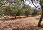 Terreny no urbanitzable en venda a Sanlúcar de Guadiana ref.: TR354785 foto