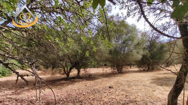 Huelva - Sanlúcar de Guadiana - 11885m2
