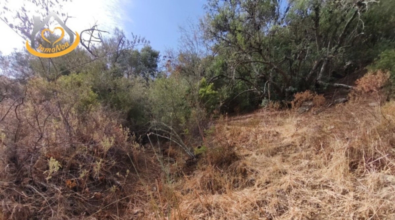Huelva - Sanlúcar de Guadiana - 11885m2