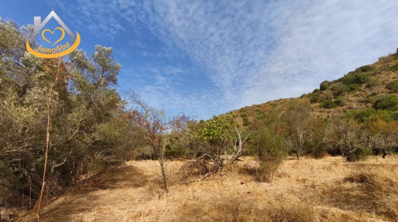 Huelva - Sanlúcar de Guadiana - 11885m2