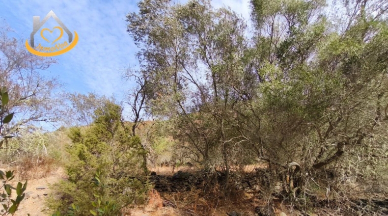 Huelva - Sanlúcar de Guadiana - 11885m2