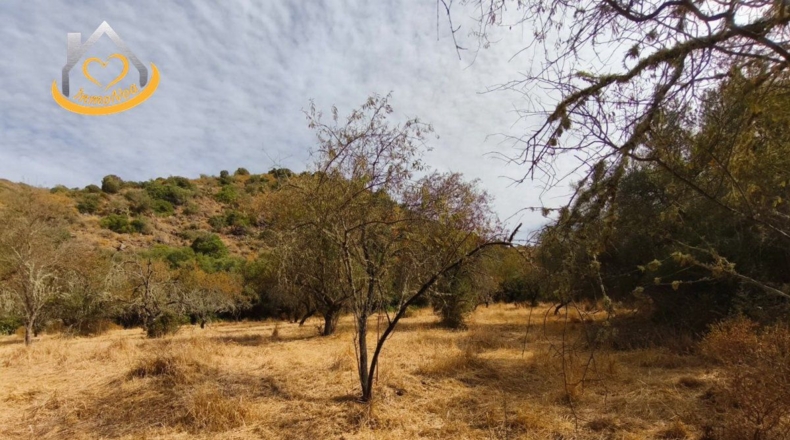 Huelva - Sanlúcar de Guadiana - 11885m2